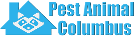 Columbus Wildlife and Animal Removal